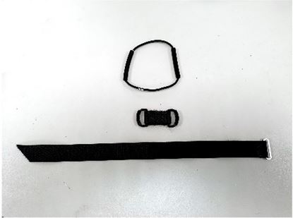 Picture1_63c5fs.jpg